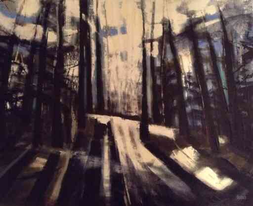 Forest Path Contrast
